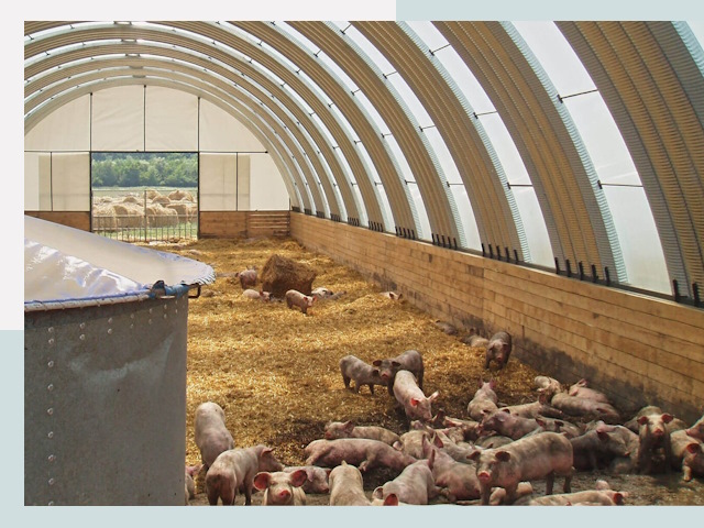 Строительство свинарников в Гагарине