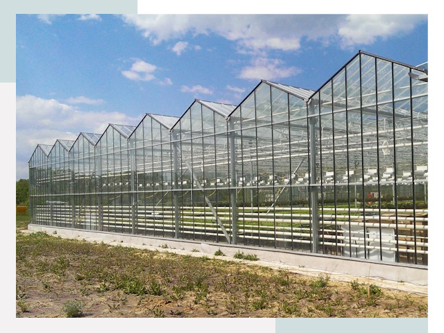 Строительство теплиц в Гагарин от 624 руб. за м²
